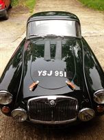 YSJ951