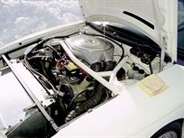 2000-world-challange-mustang-cobra