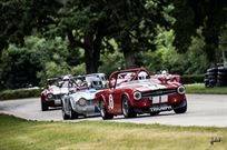 1971-triumph-tr6-race-car-wbravo-trailer