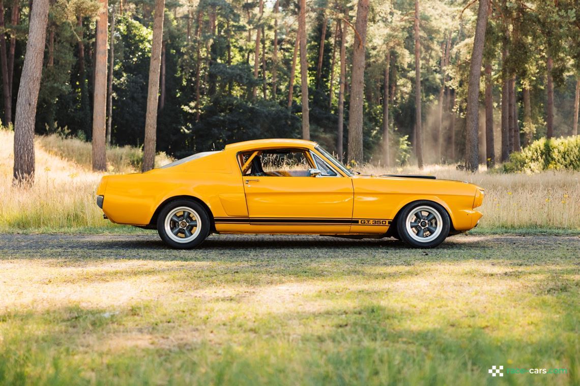 1965-ford-mustang-fastback-shelby