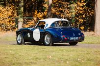 1960-austin-healey-3000