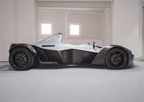 2017-bac-mono-74