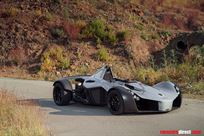 2017-bac-mono-74